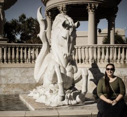 1C3655F4-9C0C-4225-BA2E-1B8D12E1A32D