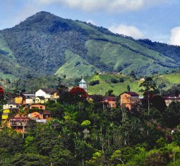 6CA8881B-1CD2-4714-AE7D-EC8222D4DB27