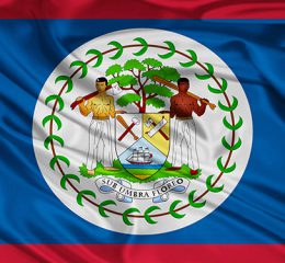 95547A94-D027-4727-ACE9-FA3C3F990825