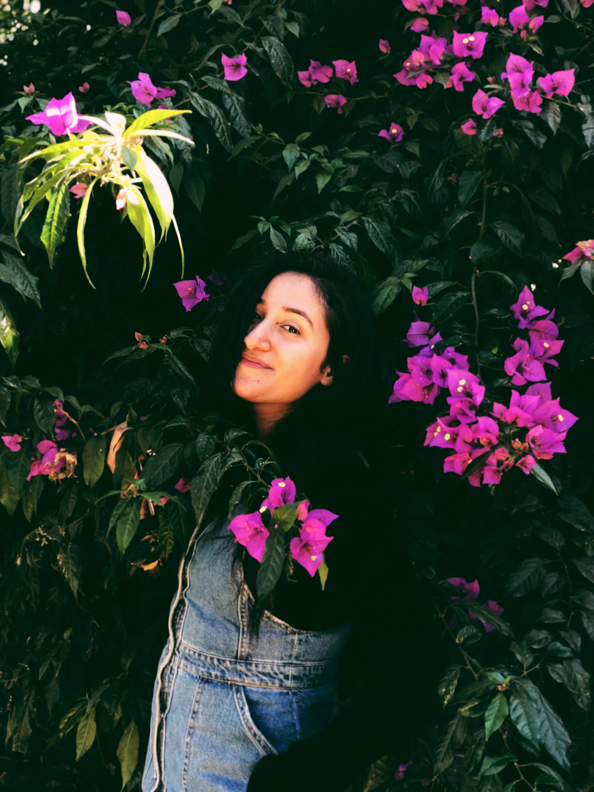 C3314283-DE79-47D8-BD04-5C40A426415F