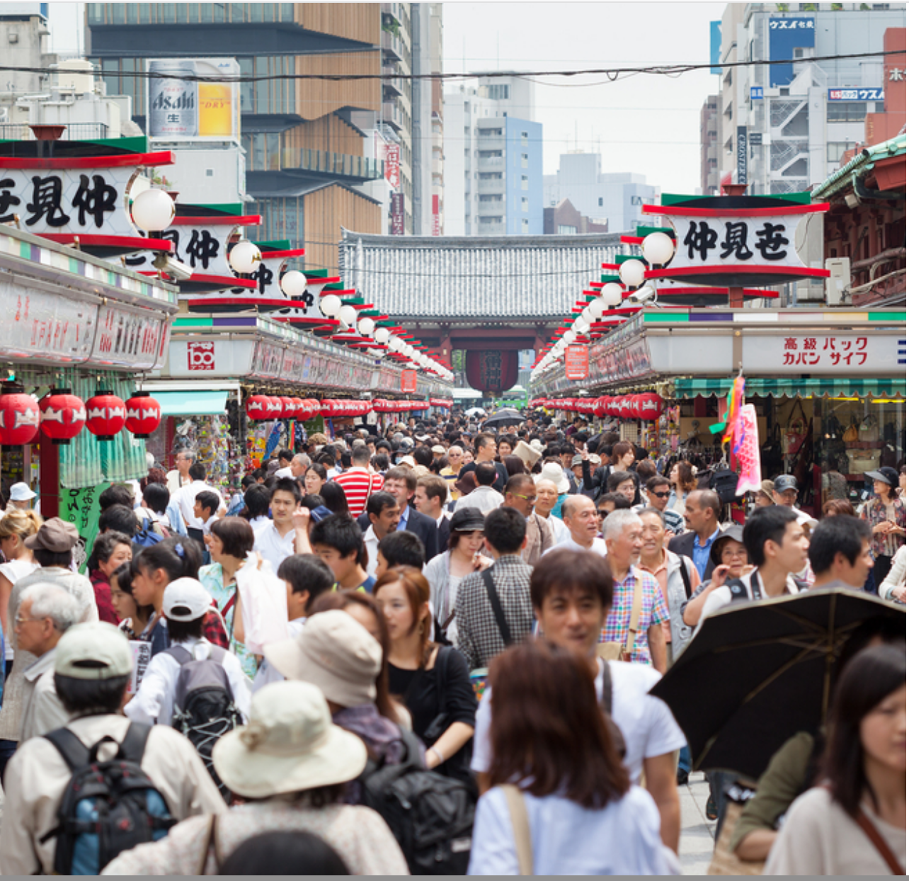 Screen Shot 2019-02-06 at 12