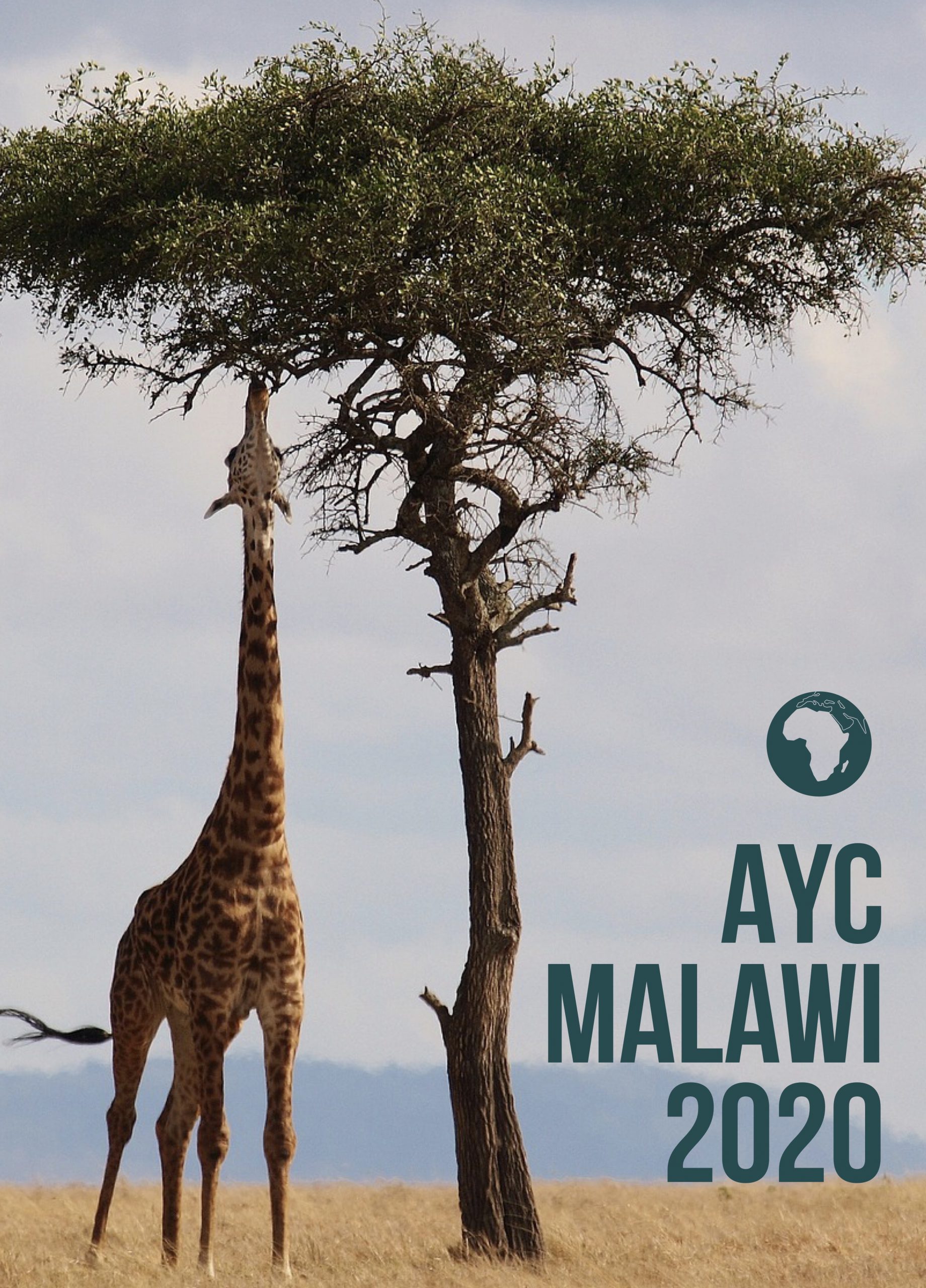 42F32FED-C91B-446C-9C84-5507D785D63A