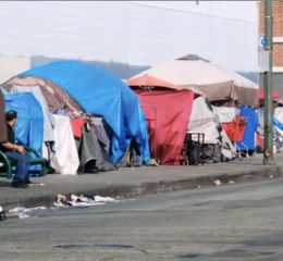 7D43CDFE-A732-4114-BA7C-FB88160B2BEF