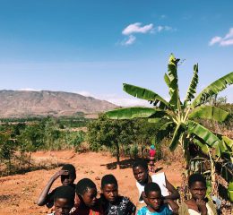 90953C28-477E-4128-B50F-3D01DD1F9C07