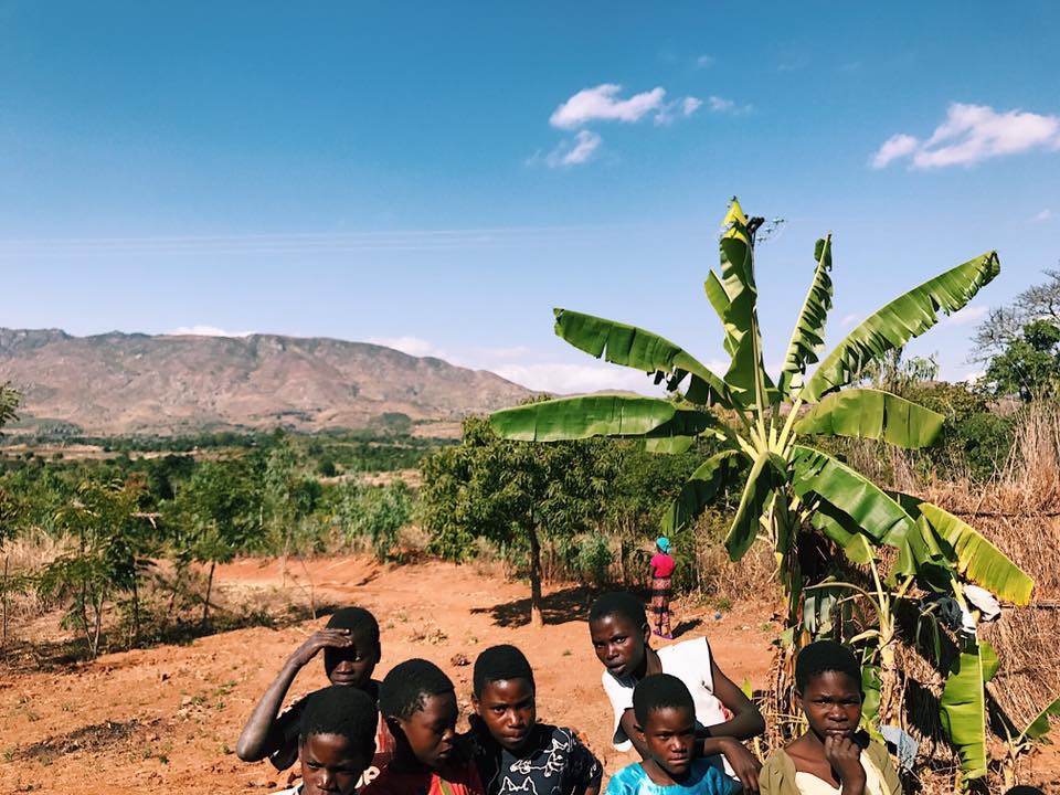 90953C28-477E-4128-B50F-3D01DD1F9C07