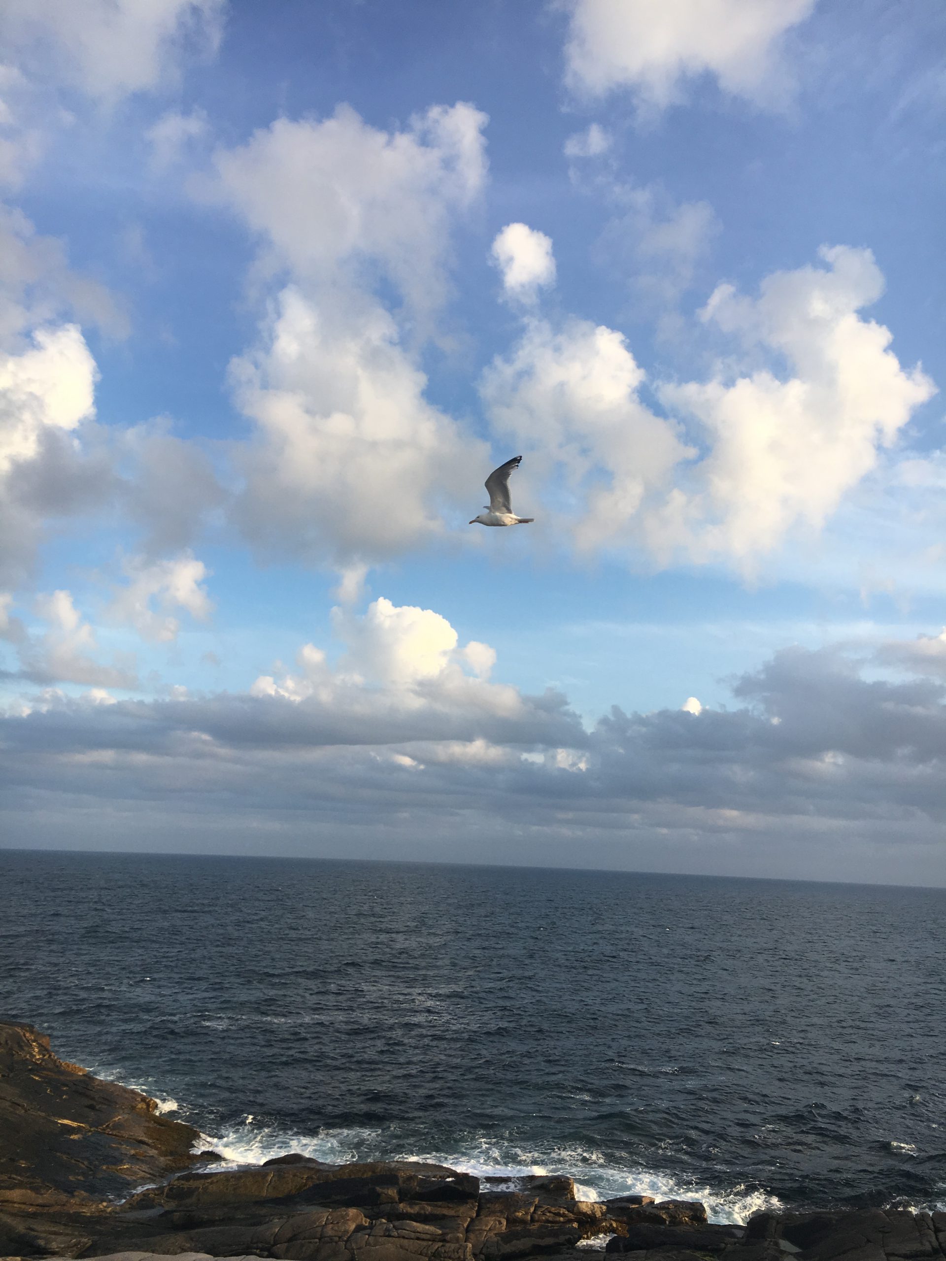 6D28723E-3ED6-43D6-85AD-28682FE137B6