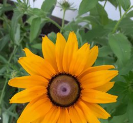 B86F5CB7-924E-4C68-8A45-47119387B27A