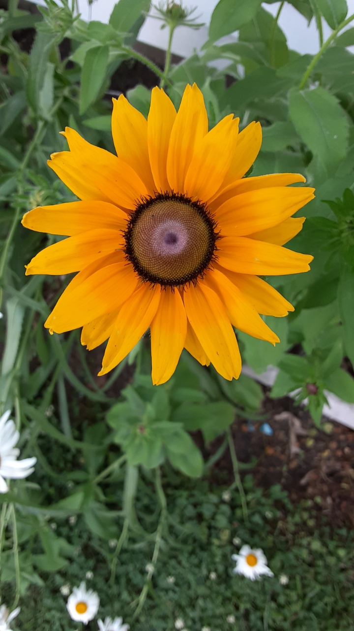 B86F5CB7-924E-4C68-8A45-47119387B27A